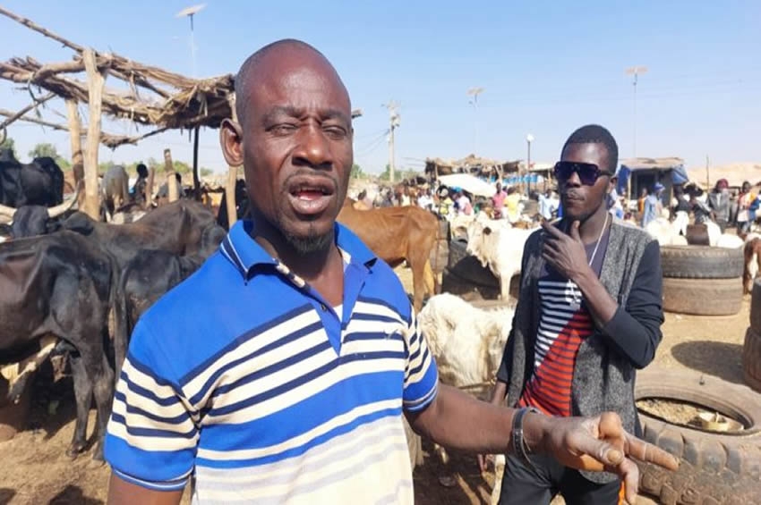 Délocalisation du marché à bétail de Ouaga Inter : Une poudrière complexe !